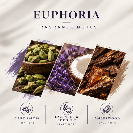 Euphoria inspired by Valentino uomo born in rome purple melancholia