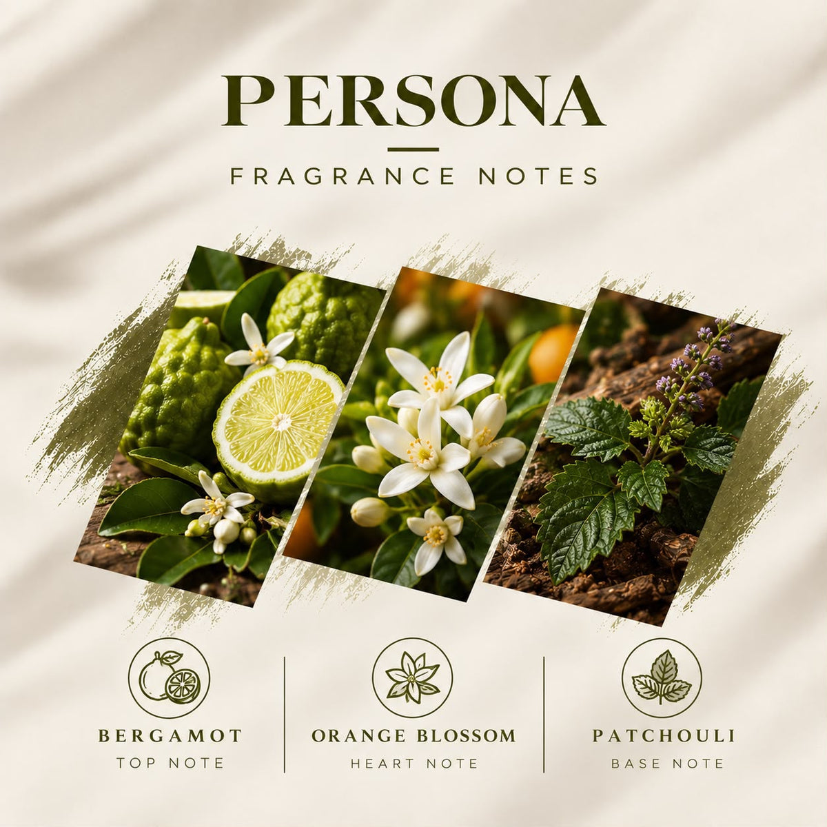 Persona inspired by myself edp