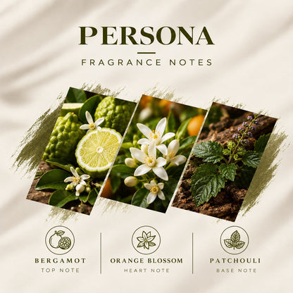 Persona inspired by myself edp